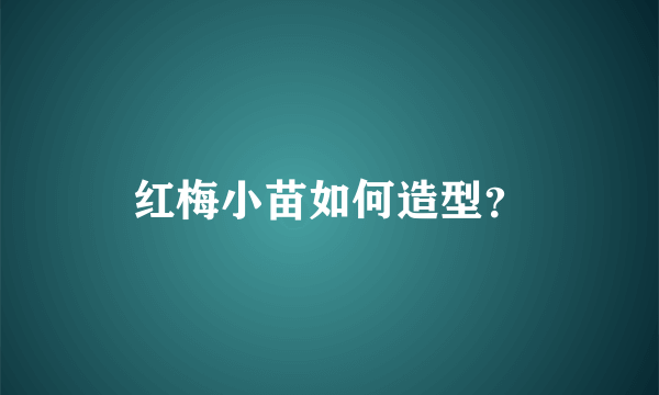 红梅小苗如何造型？