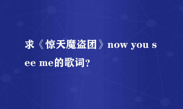 求《惊天魔盗团》now you see me的歌词？