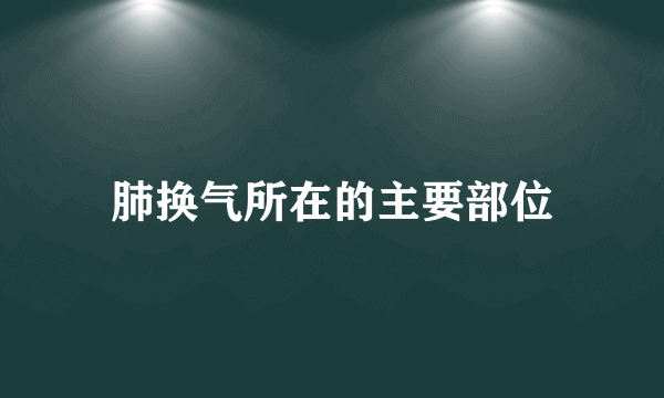 肺换气所在的主要部位