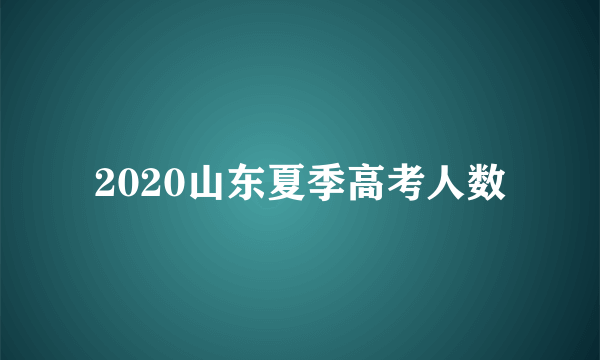 2020山东夏季高考人数