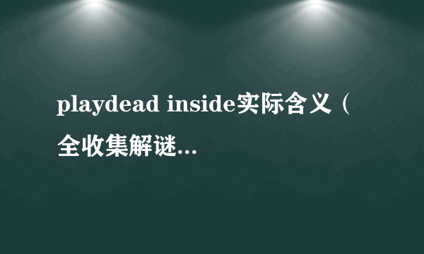 playdead inside实际含义（全收集解谜流程图文攻略）