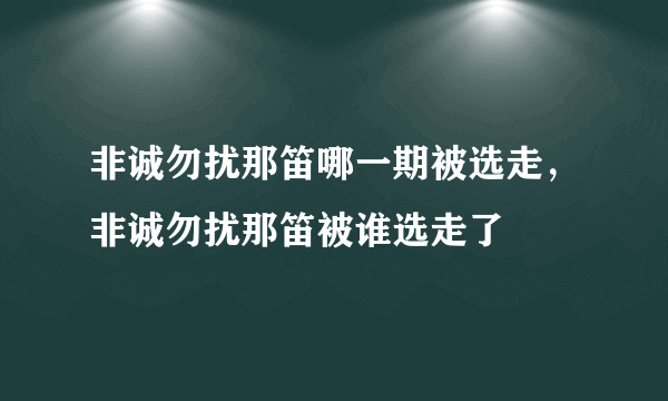 非诚勿扰那笛哪一期被选走，非诚勿扰那笛被谁选走了