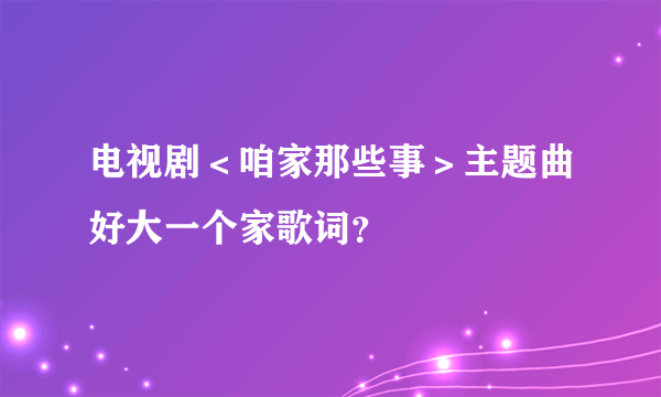 电视剧＜咱家那些事＞主题曲好大一个家歌词？