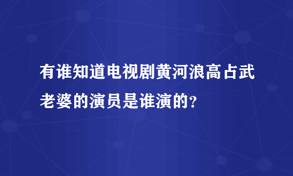 有谁知道电视剧黄河浪高占武老婆的演员是谁演的？