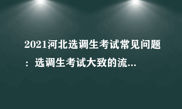 2021河北选调生考试常见问题：选调生考试大致的流程是怎样的？