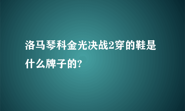 洛马琴科金光决战2穿的鞋是什么牌子的?