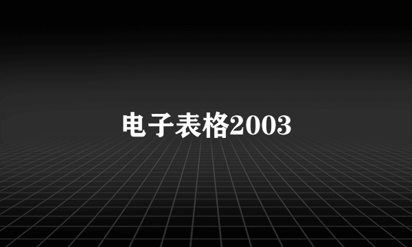 电子表格2003