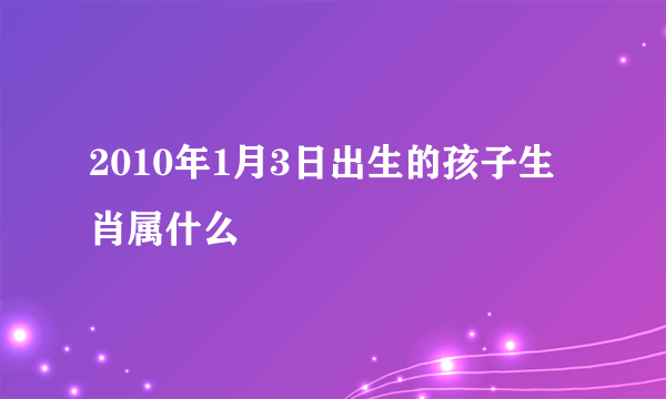 2010年1月3日出生的孩子生肖属什么