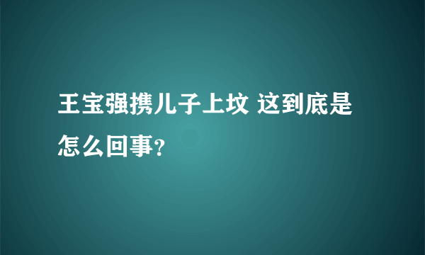 王宝强携儿子上坟 这到底是怎么回事？