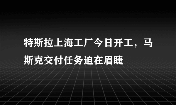 特斯拉上海工厂今日开工，马斯克交付任务迫在眉睫