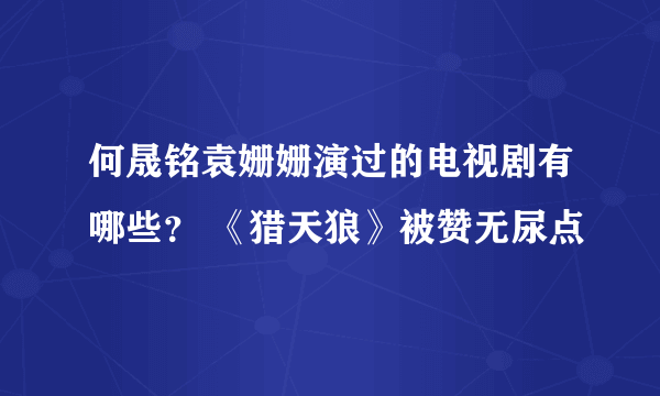 何晟铭袁姗姗演过的电视剧有哪些？ 《猎天狼》被赞无尿点