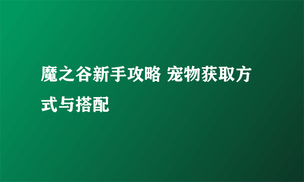 魔之谷新手攻略 宠物获取方式与搭配