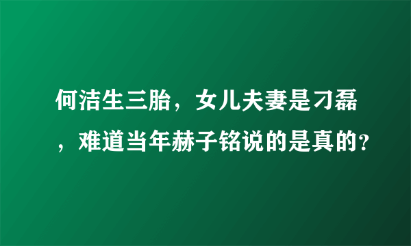 何洁生三胎，女儿夫妻是刁磊，难道当年赫子铭说的是真的？