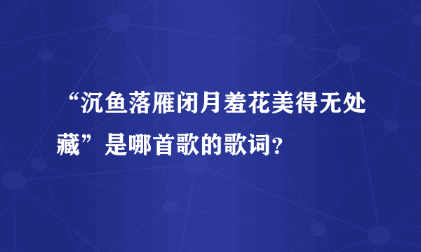 “沉鱼落雁闭月羞花美得无处藏”是哪首歌的歌词？