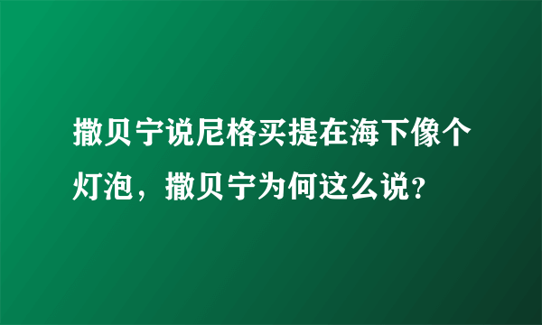 撒贝宁说尼格买提在海下像个灯泡，撒贝宁为何这么说？