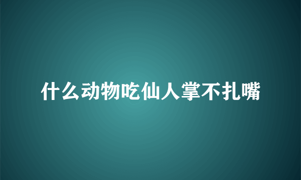 什么动物吃仙人掌不扎嘴