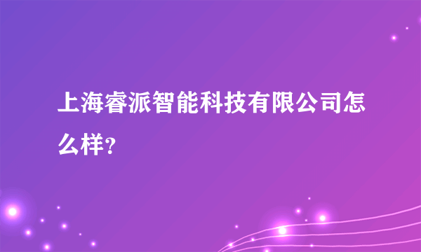 上海睿派智能科技有限公司怎么样？