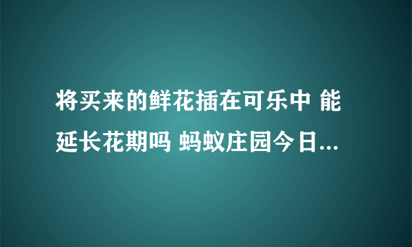 将买来的鲜花插在可乐中 能延长花期吗 蚂蚁庄园今日答案7月11日