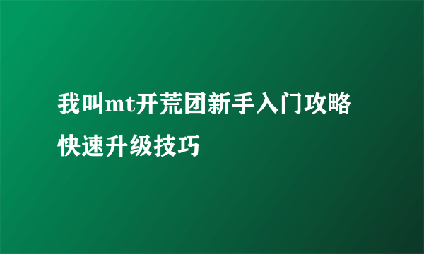 我叫mt开荒团新手入门攻略 快速升级技巧