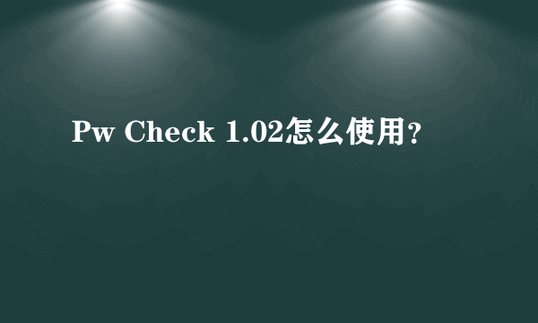 Pw Check 1.02怎么使用？