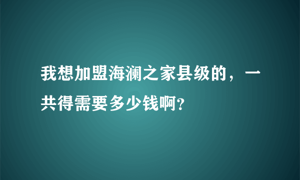 我想加盟海澜之家县级的，一共得需要多少钱啊？