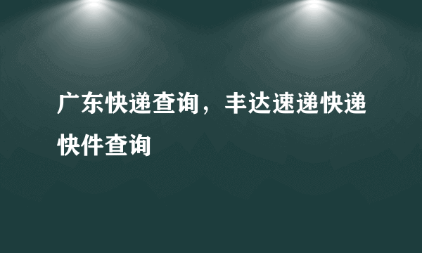 广东快递查询，丰达速递快递快件查询