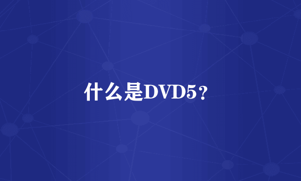 什么是DVD5？