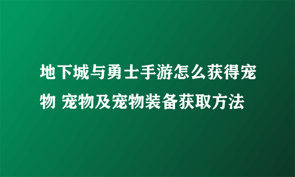 地下城与勇士手游怎么获得宠物 宠物及宠物装备获取方法