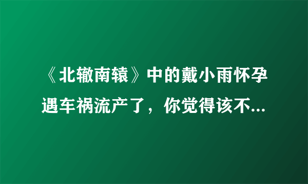 《北辙南辕》中的戴小雨怀孕遇车祸流产了，你觉得该不该心疼她？