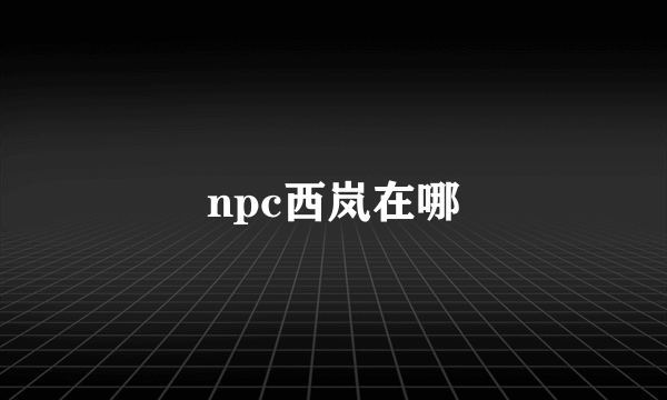 npc西岚在哪