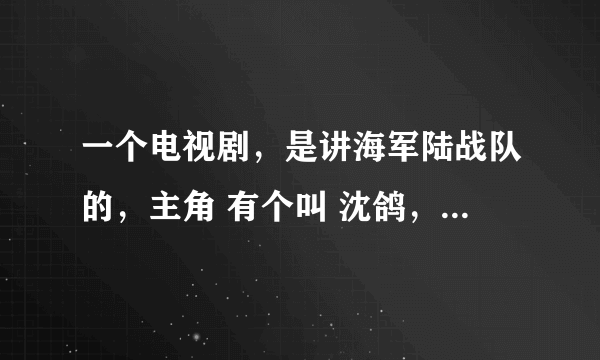 一个电视剧，是讲海军陆战队的，主角 有个叫 沈鸽， 还有个叫柳小山， 反正有段时间再中央一套播