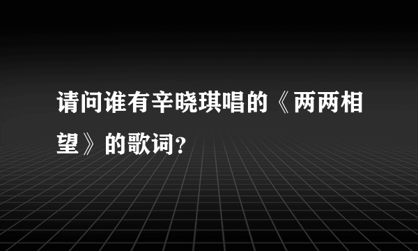 请问谁有辛晓琪唱的《两两相望》的歌词？