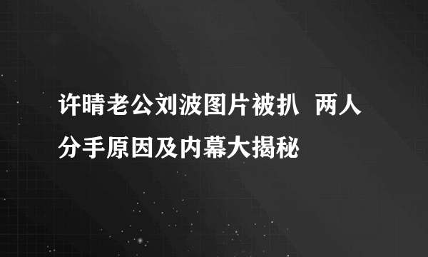 许晴老公刘波图片被扒  两人分手原因及内幕大揭秘