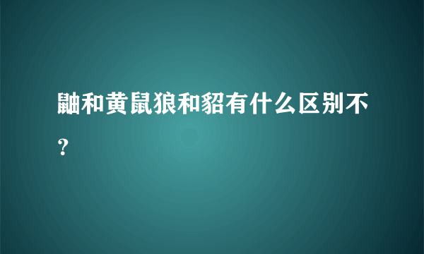 鼬和黄鼠狼和貂有什么区别不？