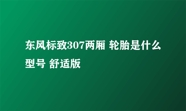 东风标致307两厢 轮胎是什么型号 舒适版