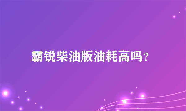 霸锐柴油版油耗高吗？