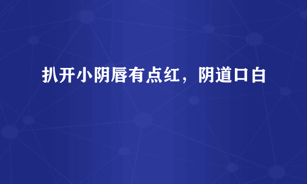 扒开小阴唇有点红，阴道口白