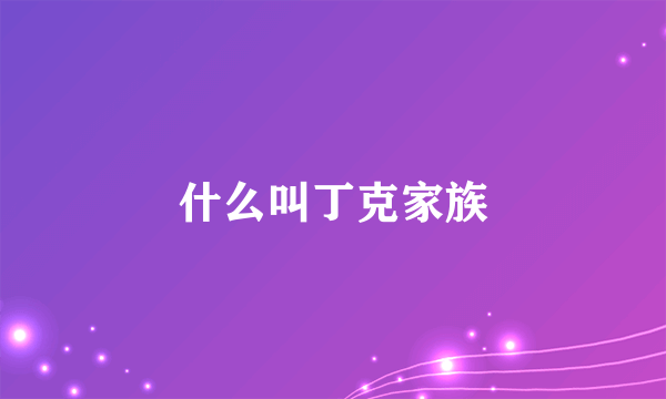 什么叫丁克家族