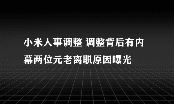 小米人事调整 调整背后有内幕两位元老离职原因曝光