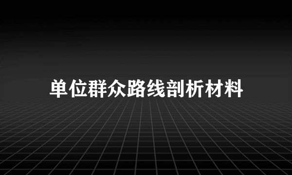 单位群众路线剖析材料