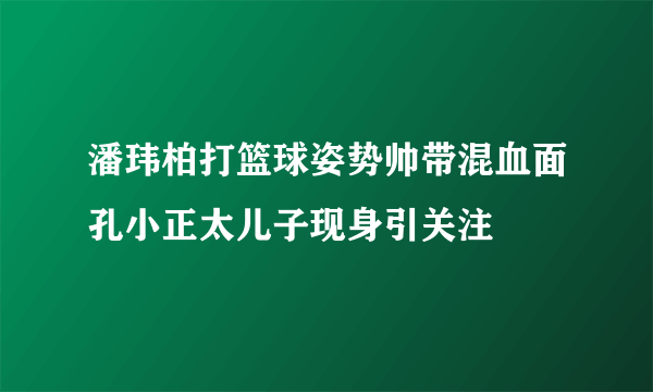 潘玮柏打篮球姿势帅带混血面孔小正太儿子现身引关注