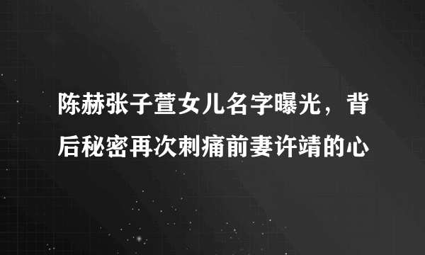 陈赫张子萱女儿名字曝光，背后秘密再次刺痛前妻许靖的心