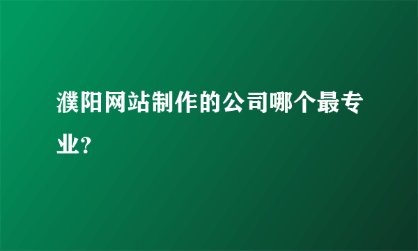 濮阳网站制作的公司哪个最专业？