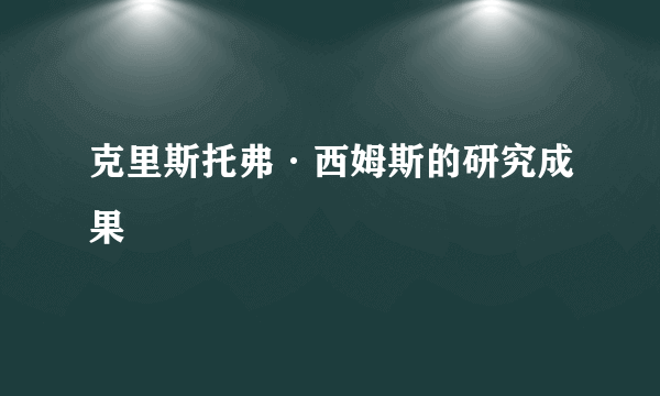 克里斯托弗·西姆斯的研究成果