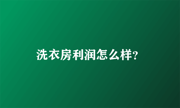 洗衣房利润怎么样？