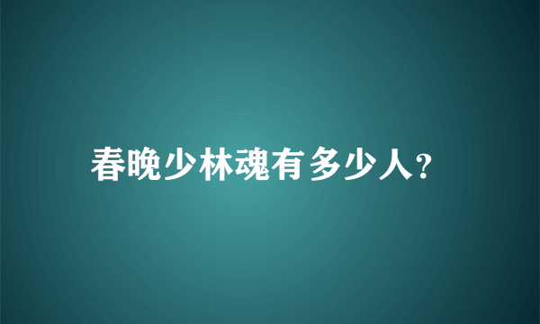 春晚少林魂有多少人？