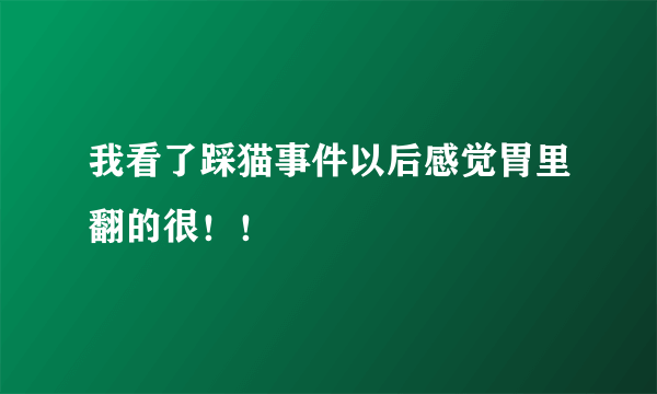 我看了踩猫事件以后感觉胃里翻的很！！