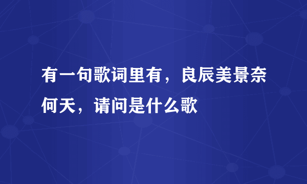 有一句歌词里有，良辰美景奈何天，请问是什么歌