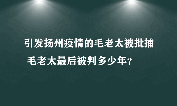 引发扬州疫情的毛老太被批捕 毛老太最后被判多少年？