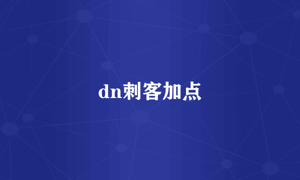 dn刺客加点